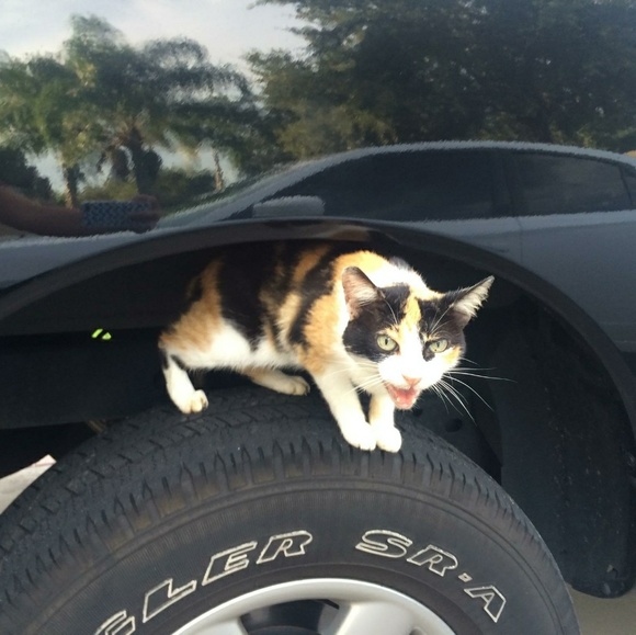 READ Before You Offer Or Buy - Picture 4 of 15